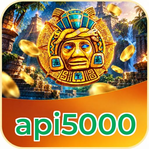 Privacy & Security api5000